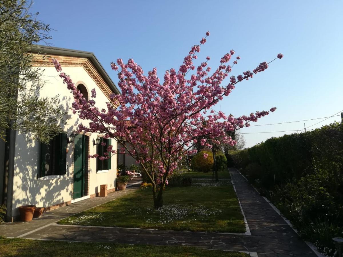 Casa Pianta Hotel Cavallino-Treporti Eksteriør billede