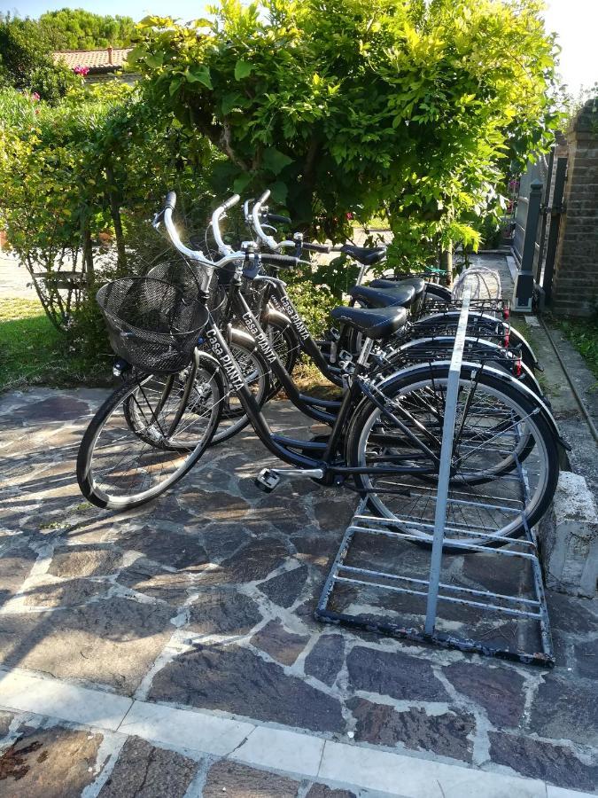 Casa Pianta Hotel Cavallino-Treporti Eksteriør billede